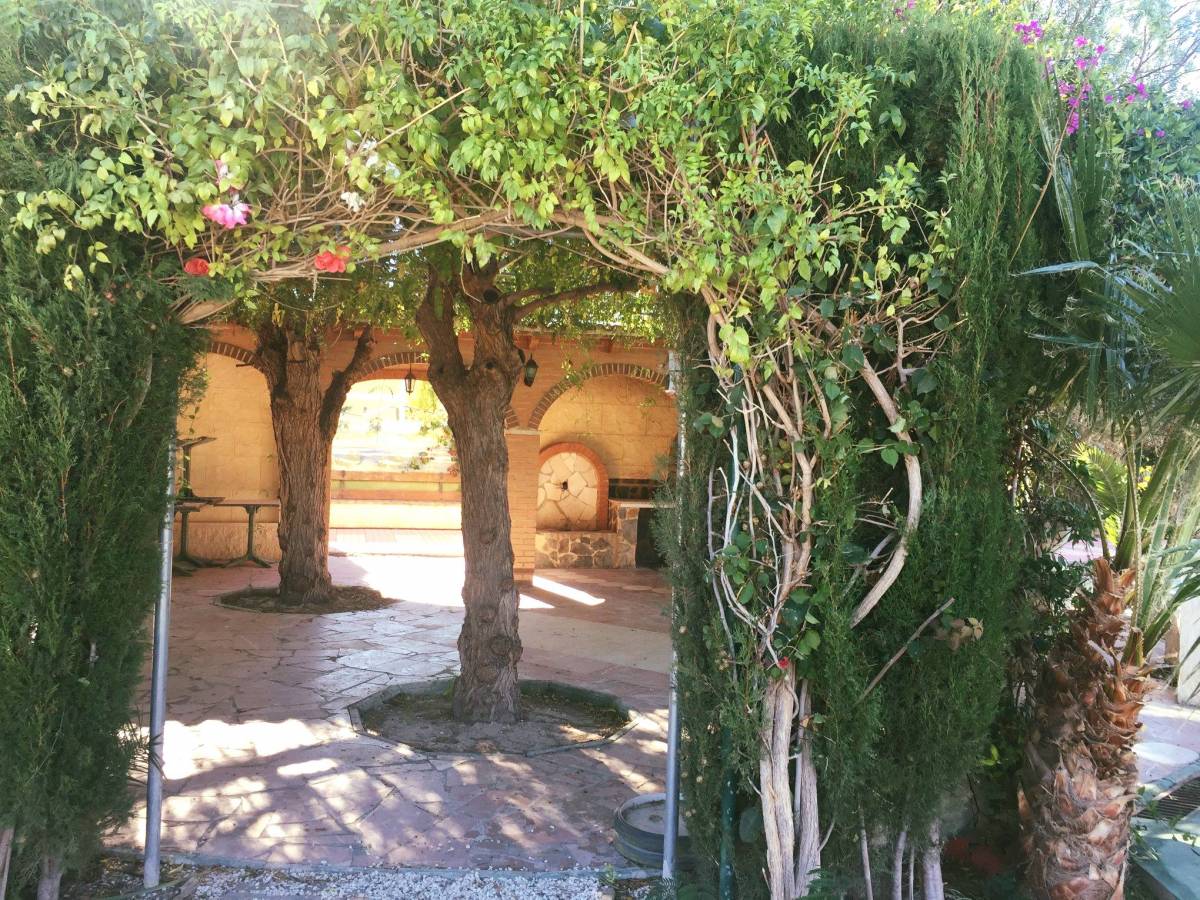 Terrace - Investissement immobilier alicante costablanca, espagne. acheter maison rural alicante Terrace - Investissement immobilier alicante costablanca, espagne. acheter maison rural alicante